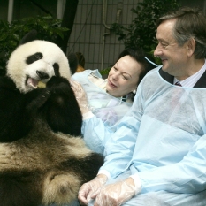 Predsednik dr. Danilo Trk in soproga Barbara Mikli Trk sta obiskala Raziskovalni center za pande, Chengdu, 27.10.2008 (FA BOBO)