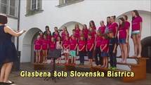 Glasbena šola Slovenska Bistrica