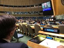 28. 3. 2019, New York – Predsednik Pahor na posebnem zasedanju OZN o klimatskih spremembah (Uprs)