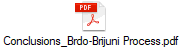 Conclusions_Brdo-Brijuni Process.pdf