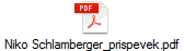 Niko Schlamberger_prispevek.pdf
